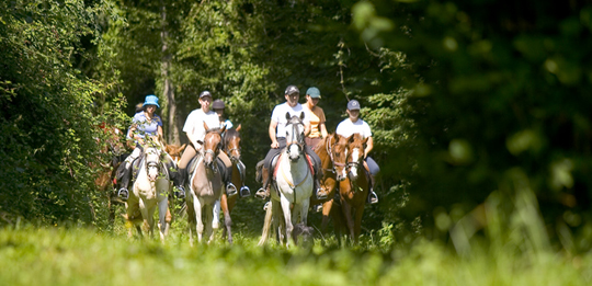Paardensport en -activiteiten(65400 OUZOUS)

